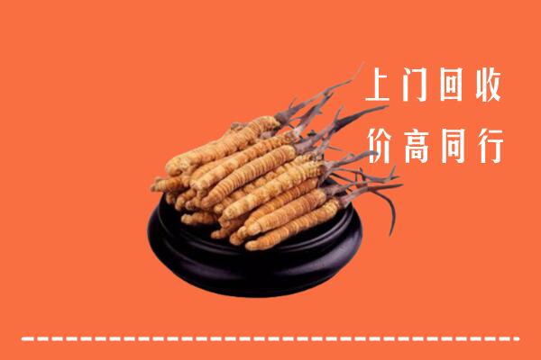 高价求购：萨嘎县回收散虫草
