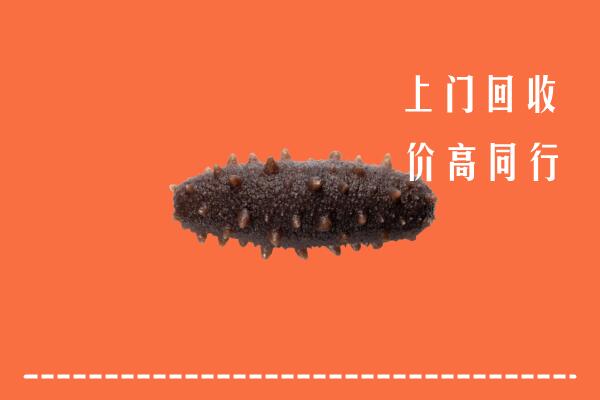 高价求购：萨嘎县回收海参
