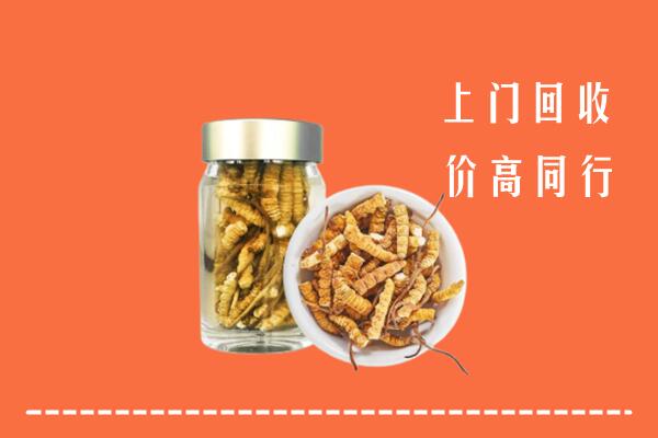萨嘎县回收冬虫夏草